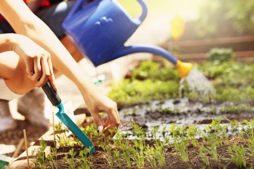 Professional lawn mowing service in Penge