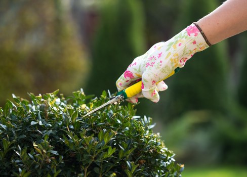 Team member preparing mower at a Penge garden