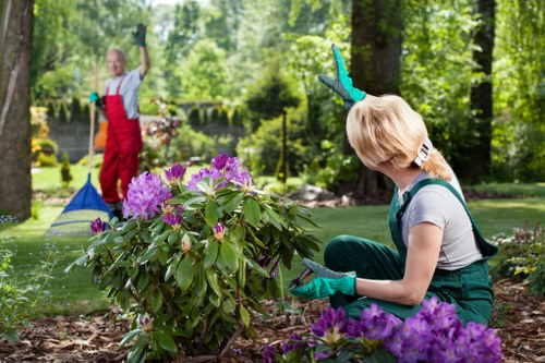 Equipment used for lawn mowing