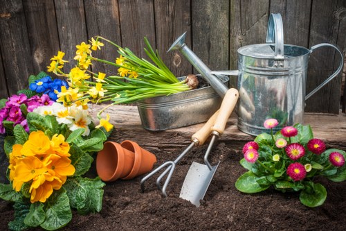 Professional landscaper planning a garden design in Penge