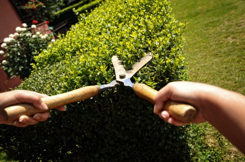 Two hands, each holding a gardening pruning shear with wooden handles, are in the foreground, trimming a neatly shaped, dense green shrub with small, shiny leaves. The shrub is situated in a garden with a well-maintained lawn visible to the right, featuring short, evenly cut grass. In the background, there are other garden elements, including, possibly, flower beds or potted plants, contributing to a lush outdoor space. The scene appears to be outdoors on a bright, clear day with natural lighting highlighting the vibrant green foliage. The image emphasizes gardening and landscaping activities typical of a residential backyard or garden setup within Penge, south London, aligning with local gardening service themes.