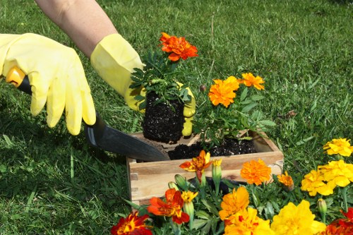 Technician inspecting a lawn after mowing