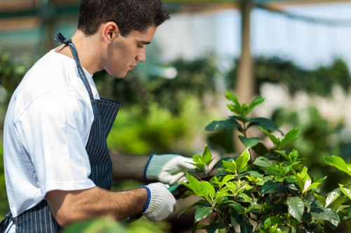 Expert trimming and edging on a garden