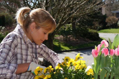 Eco-friendly landscaping practices with native plants in Penge